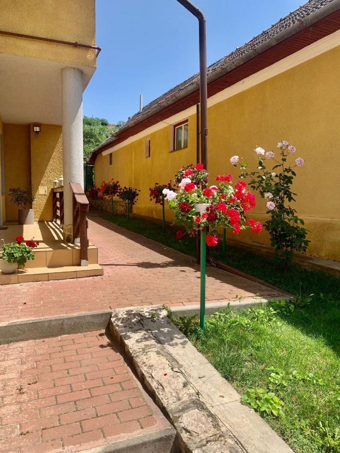Casa Ramona Apartment Turda Ngoại thất bức ảnh